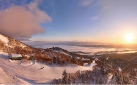 写真：富良野