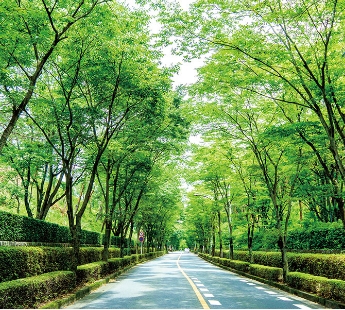 写真：飯能・日高