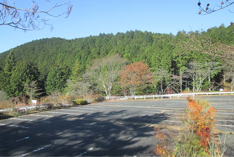 写真：県民の森駐車場からA地区（針葉樹の森）をのぞむ