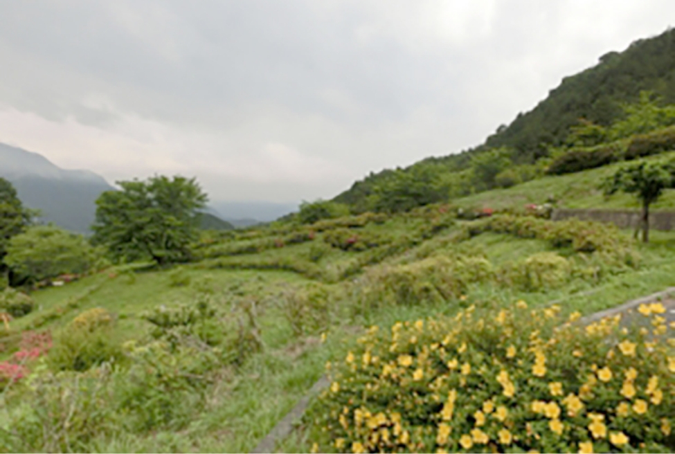 写真：眺望の優れた山の花道