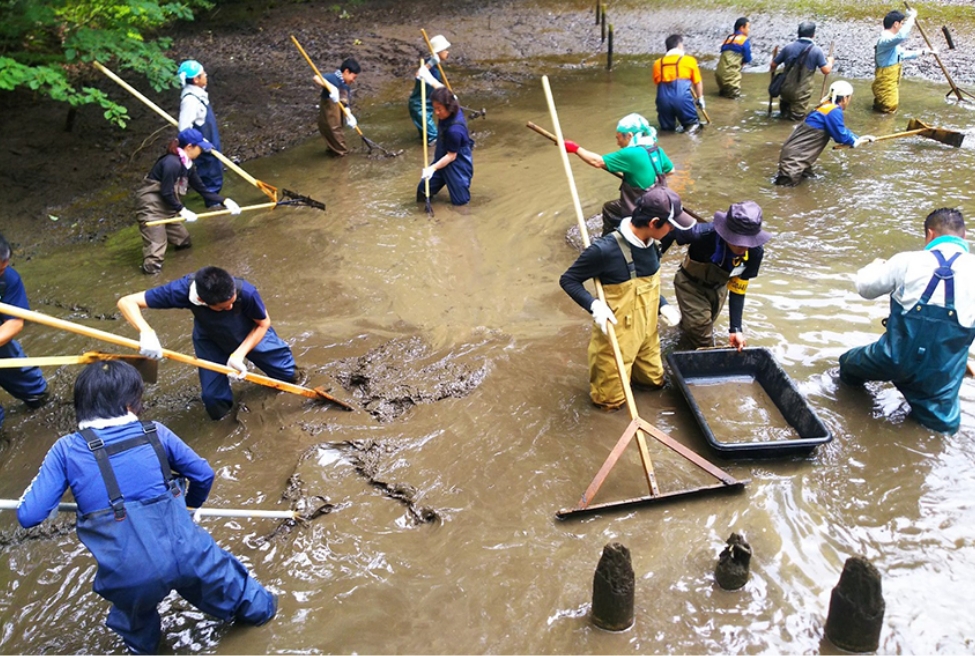 写真：かいぼり作業