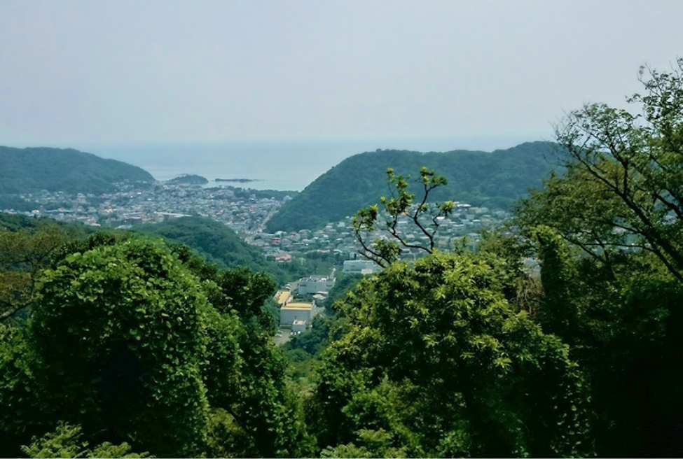 写真：葉山・西武の森からの眺望