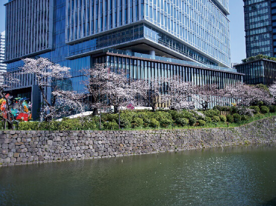 KIOI SPRING