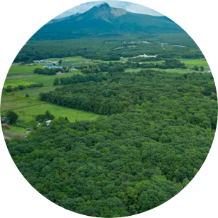 リゾート型 ショッピングモール