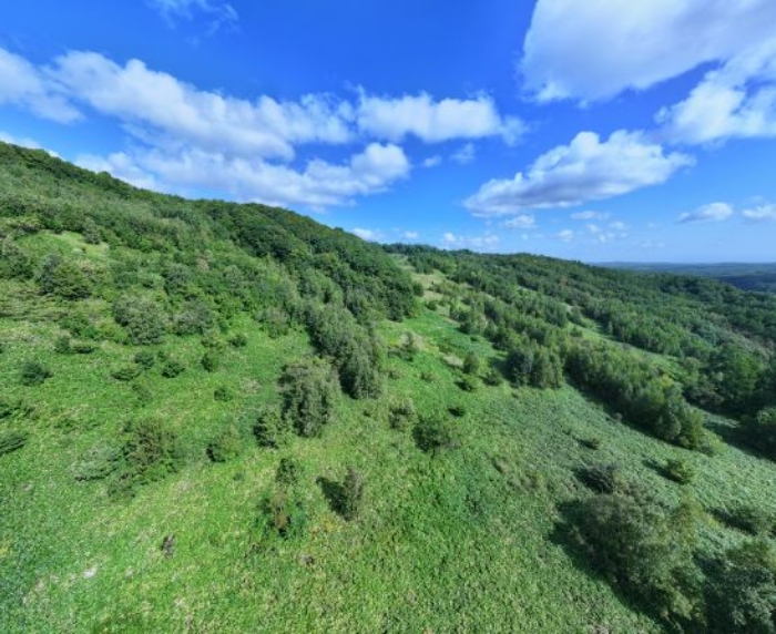 サステナビリティ推進