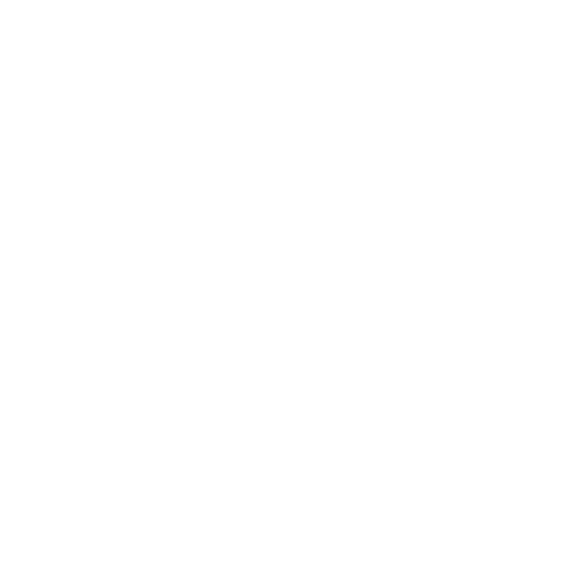 OUR BUSINESS