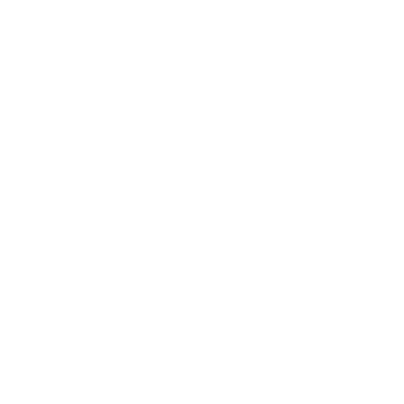 OUR BUSINESS